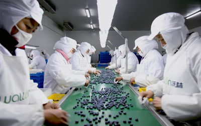 青島西海岸新區2021&ldquo;黃島藍莓季&rdquo;即將啟幕