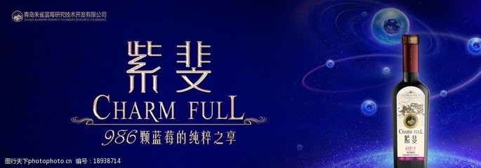 藍(lán)莓酒海報(bào)圖片