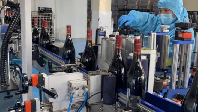 青島紫斐:匠心筑夢,打造藍(lán)莓酒界的中國&ldquo;拉菲&rdquo;