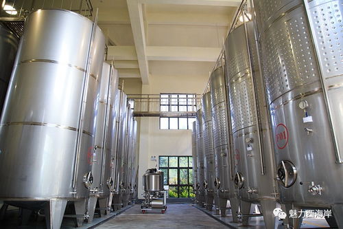 搶 雙十一 規(guī)模全國前三 西海岸本土紫斐藍(lán)莓酒不減價不狂歡 壕氣送送送