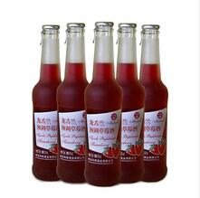 青島瑪麗龍舌蘭與藍莓酒 批發價格、廠家及市場概況